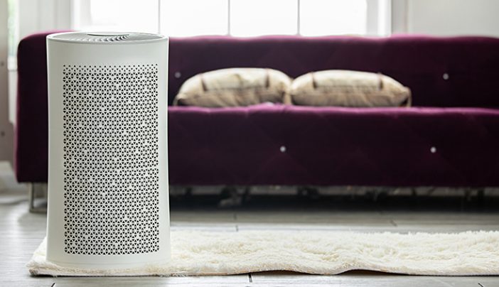 Air Purifier Vs Humidifier : Unmasking the Best for Your Indoor Air