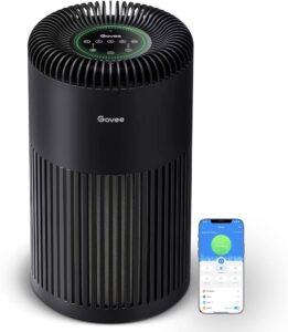 Can the Air Purifier Cool My Room