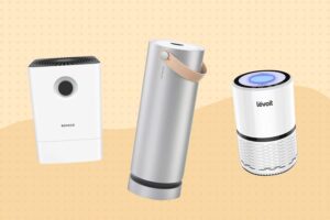 Do Air Purifiers Help With Sinus Problems