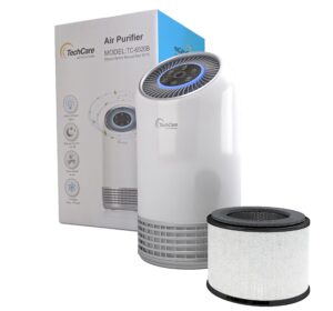 Does an Air Purifier Help With Congestion