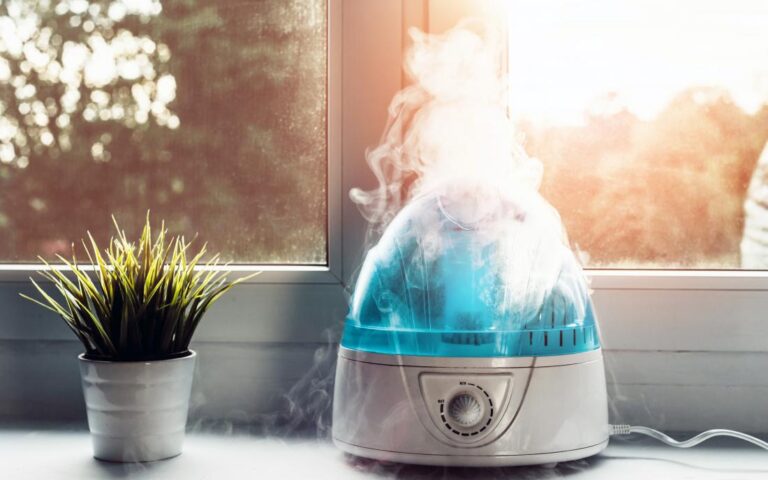 How Does a Humidifier Work? A Guide to Adding Moisture to the Air