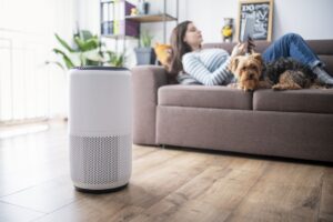 How Long Do Air Purifiers Take to Work? Clearing the Air on Efficiency