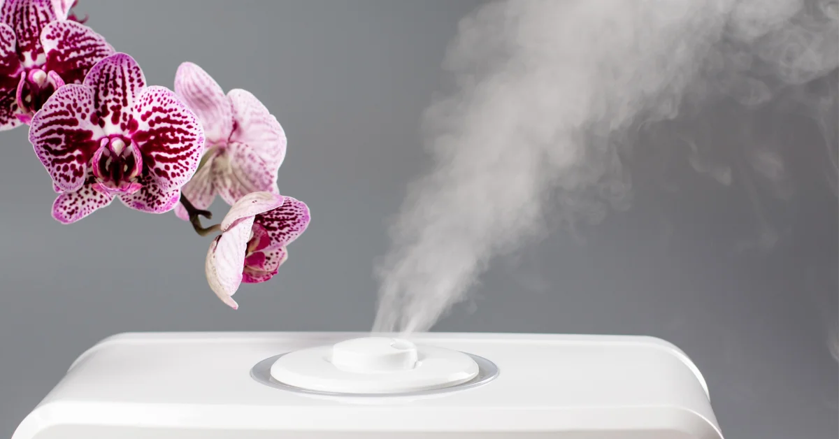 Do Humidifiers Use a Lot of Electricity