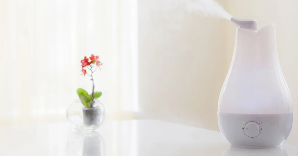 How Humidifiers Work_ The Basics