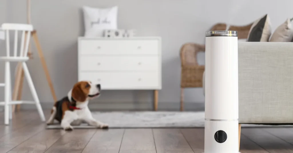 How Often Should You Clean Your Humidifier