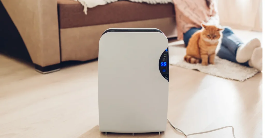 How to Maximize the Effectiveness of a Dehumidifier