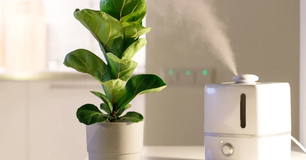 How to Tell When Your Room is Fully Humidified