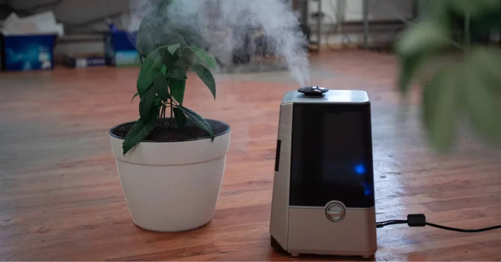 Practical Tips for Maintaining Your Humidifier