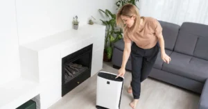 Will a Dehumidifier Prevent Mold